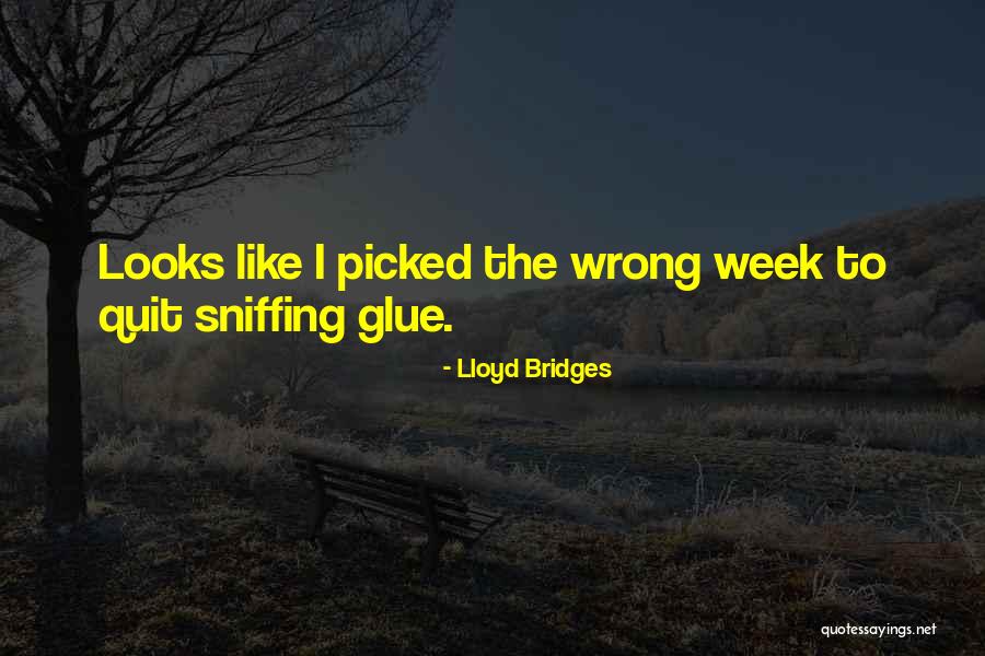 R Ckereszt R Drogter Pi S Otthon Quotes By Lloyd Bridges