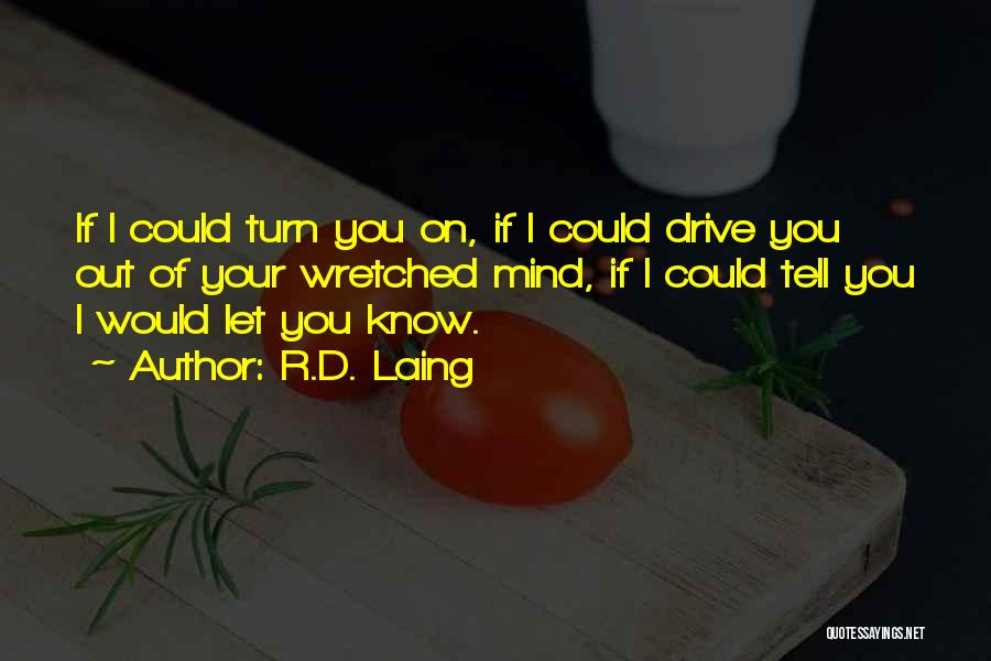 R.D. Laing Quotes 1489384