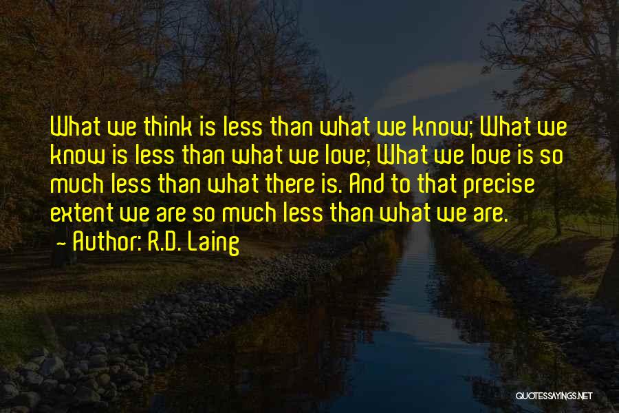 R.D. Laing Quotes 1635212