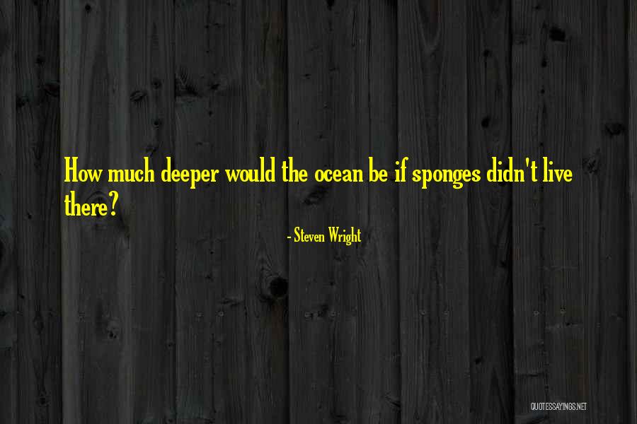 R Eni Ro Icek Quotes By Steven Wright R Eni Ro Icek Quotes By Steven Wright