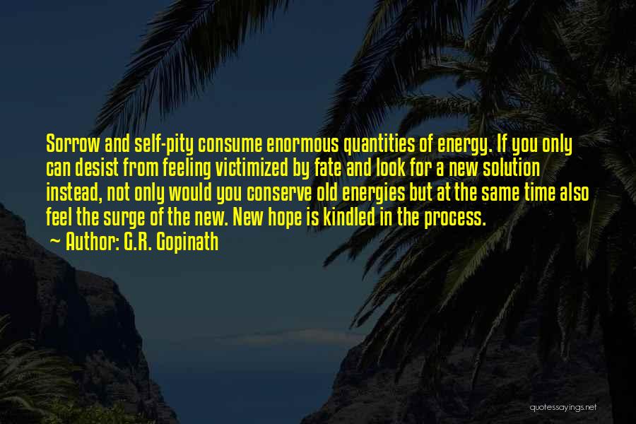 R G Quotes By G.R. Gopinath