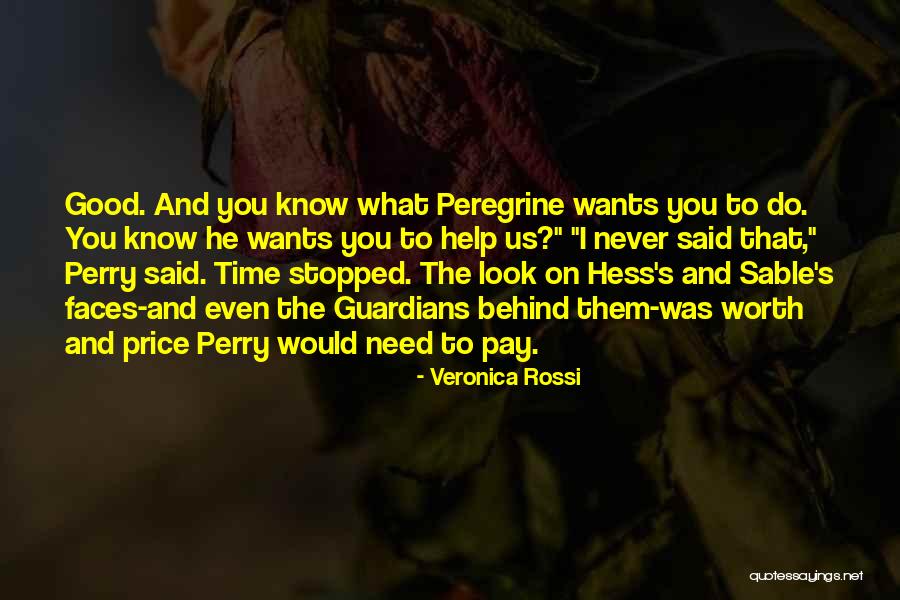 R Hess Quotes By Veronica Rossi R Hess Quotes By Veronica Rossi