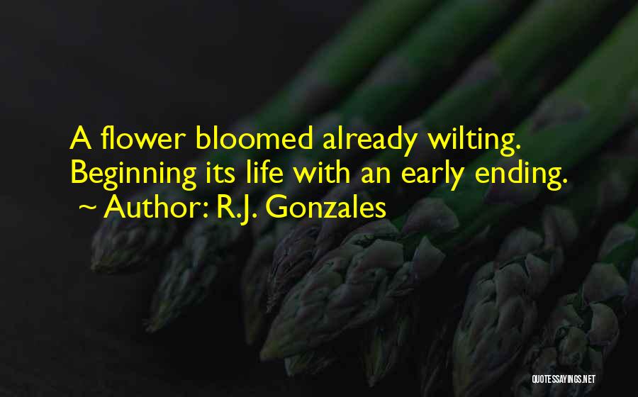 R.J. Gonzales Quotes 2085221