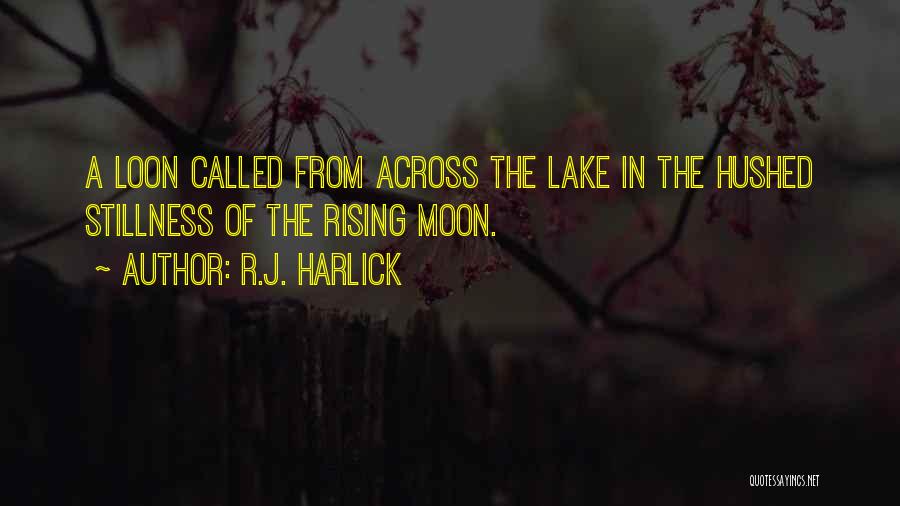 R.J. Harlick Quotes 2249912