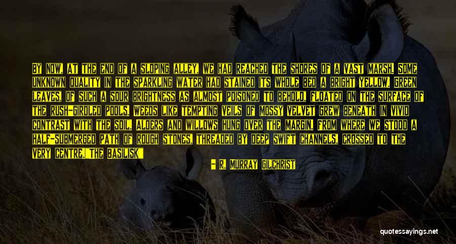 R. Murray Gilchrist Quotes 1394313 R. Murray Gilchrist Quotes 1394313