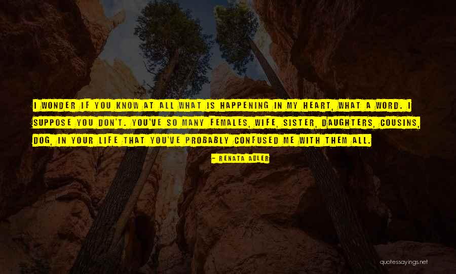 R Ov Ka E Quotes By Renata Adler