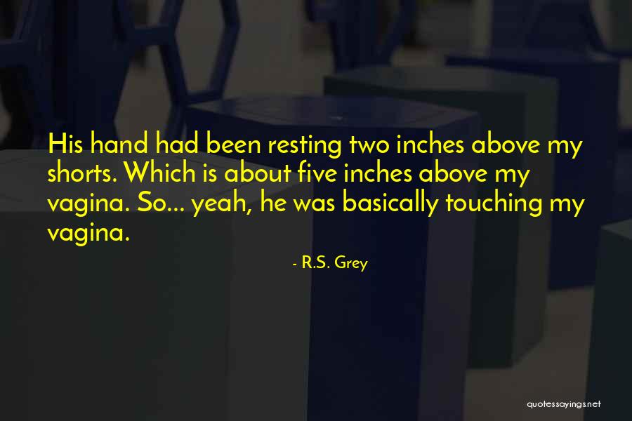 R.S. Grey Quotes 1298561