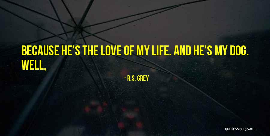 R.S. Grey Quotes 431273