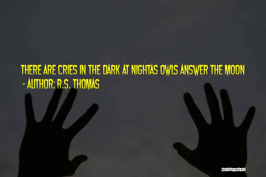 R.S. Thomas Quotes 1173771