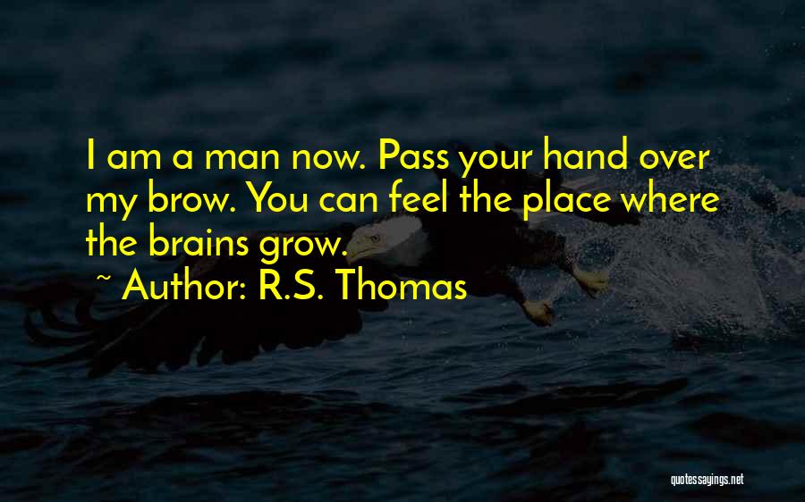 R.S. Thomas Quotes 1263291