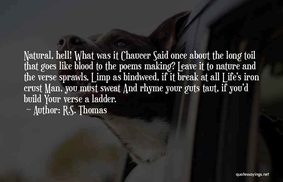 R.S. Thomas Quotes 1289966