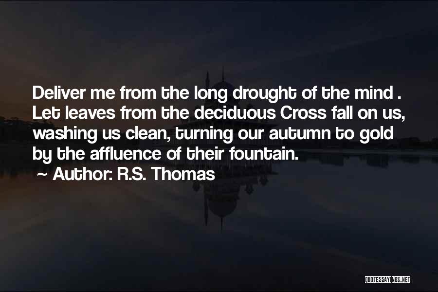 R.S. Thomas Quotes 1521384