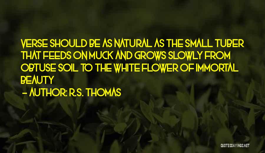 R.S. Thomas Quotes 1859383