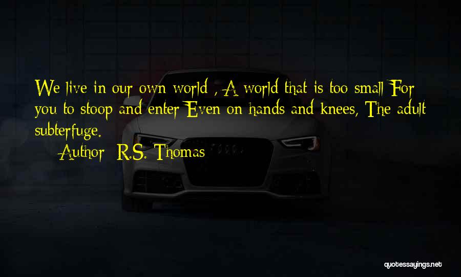 R.S. Thomas Quotes 2231259