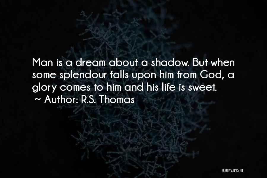 R.S. Thomas Quotes 602952