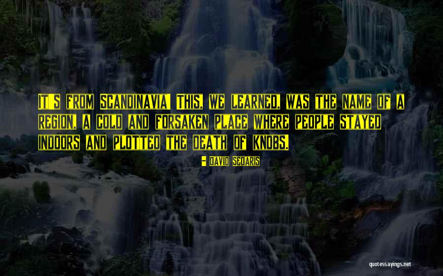 R Sidence Quotes By David Sedaris R Sidence Quotes By David Sedaris