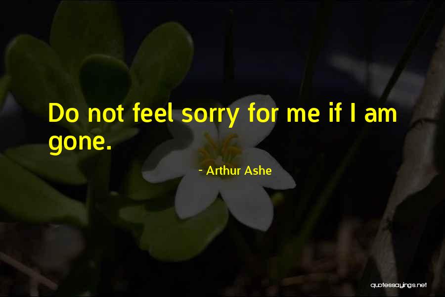 R Sler Dagmar Quotes By Arthur Ashe R Sler Dagmar Quotes By Arthur Ashe