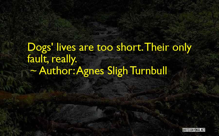 R Turnbull Quotes By Agnes Sligh Turnbull