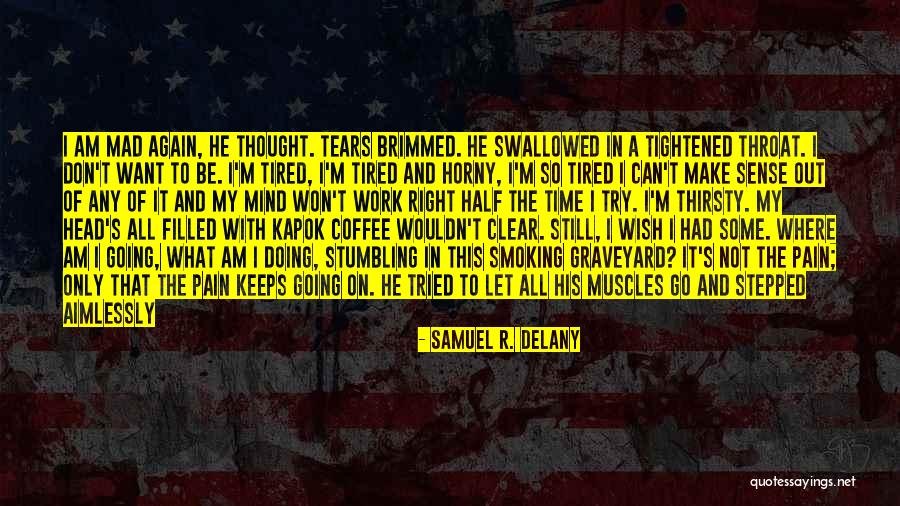 R U Mad At Me Quotes By Samuel R. Delany R U Mad At Me Quotes By Samuel R. Delany