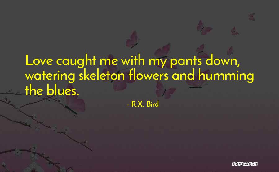 R.X. Bird Quotes 310019 R.X. Bird Quotes 310019