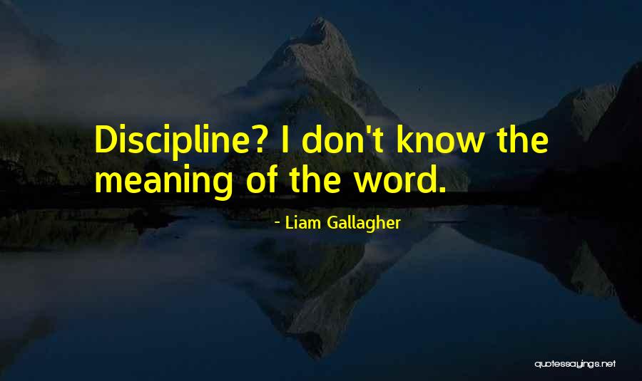 R3volutionary Quotes By Liam Gallagher R3volutionary Quotes By Liam Gallagher