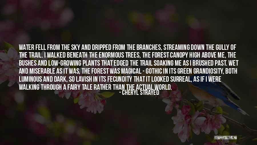Raafat El Quotes By Cheryl Strayed Raafat El Quotes By Cheryl Strayed