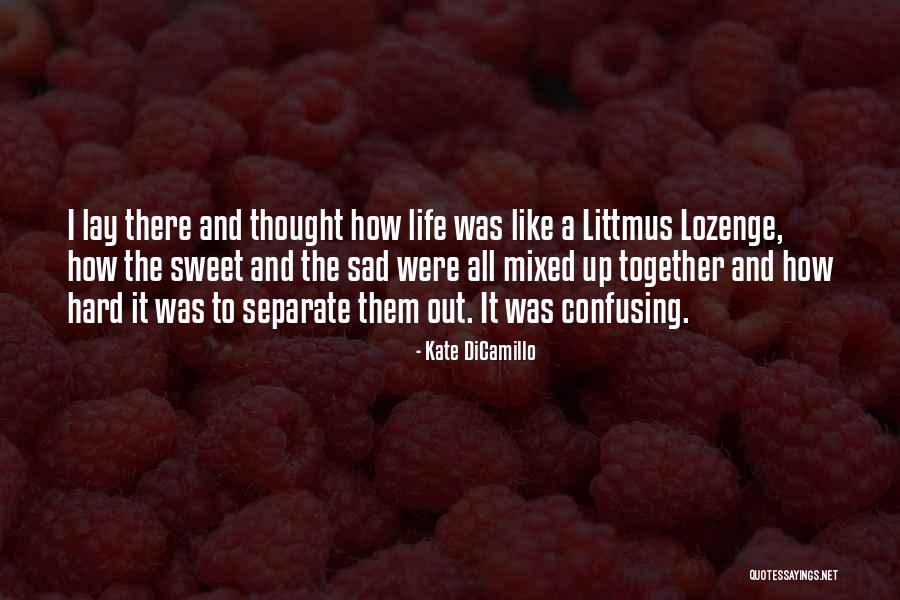 Raajkart Quotes By Kate DiCamillo Raajkart Quotes By Kate DiCamillo