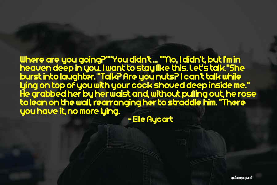 Raamisolatie Quotes By Elle Aycart Raamisolatie Quotes By Elle Aycart