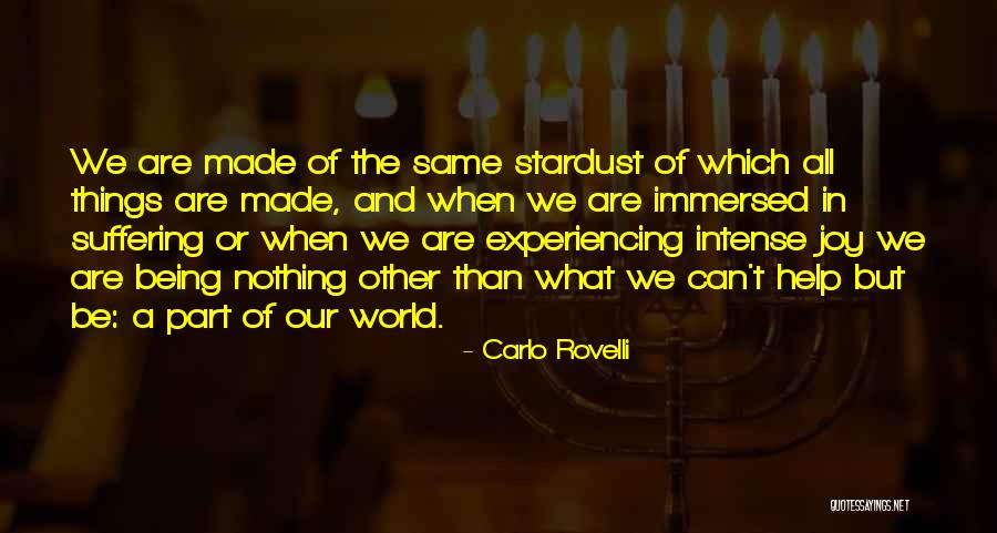 Rab Silsbee Quotes By Carlo Rovelli Rab Silsbee Quotes By Carlo Rovelli