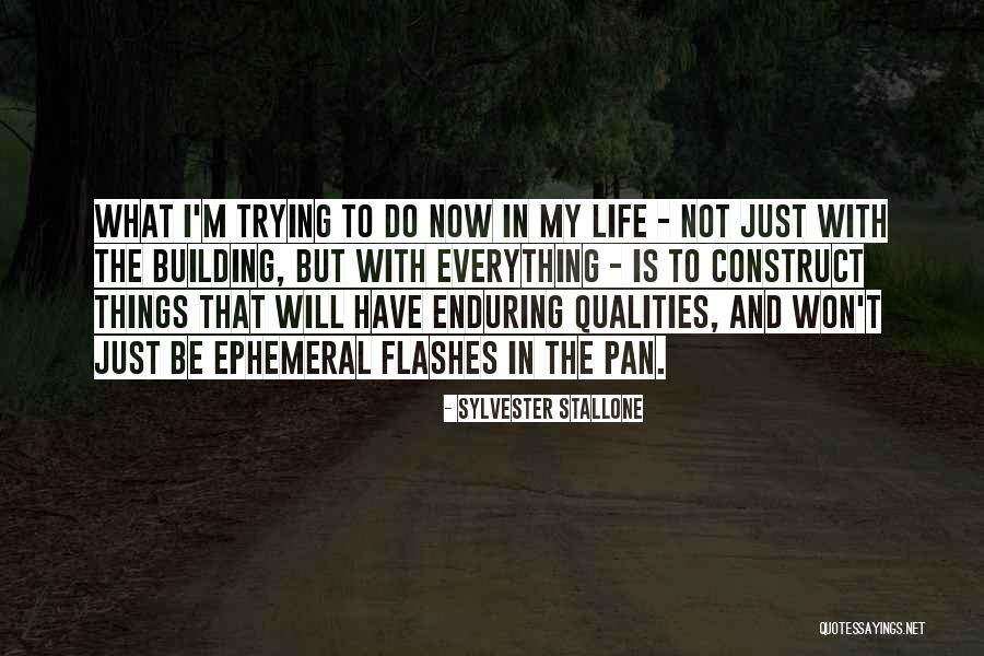 Rabanes Senorita Quotes By Sylvester Stallone Rabanes Senorita Quotes By Sylvester Stallone