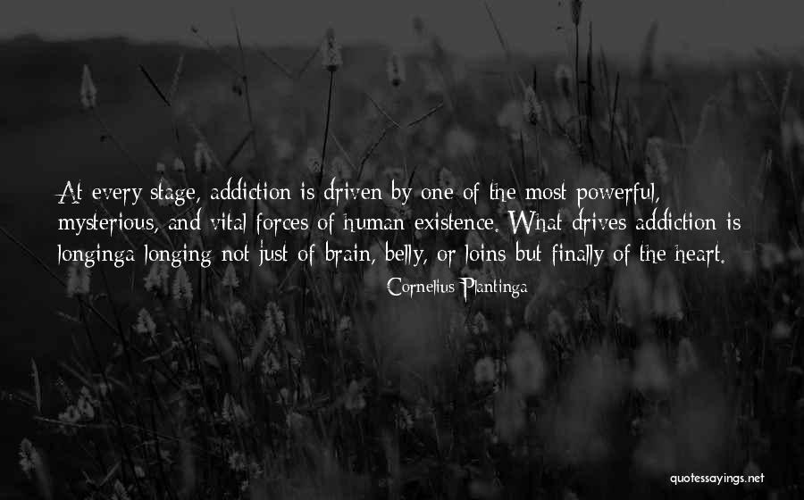 Rabbi Rashi Quotes By Cornelius Plantinga Rabbi Rashi Quotes By Cornelius Plantinga