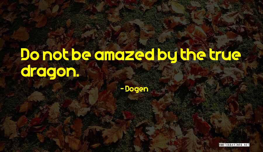 Rabbi Shammai Quotes By Dogen Rabbi Shammai Quotes By Dogen