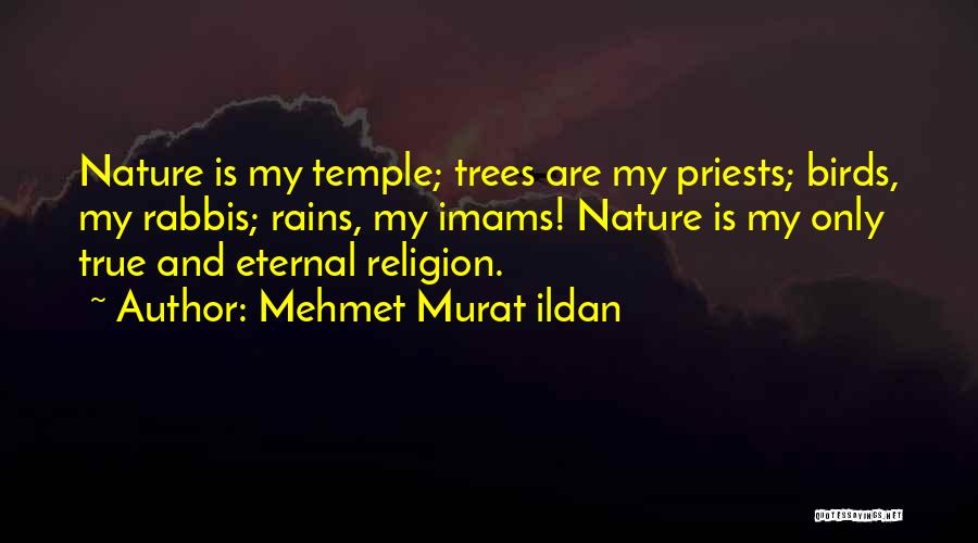 Rabbis Quotes By Mehmet Murat Ildan