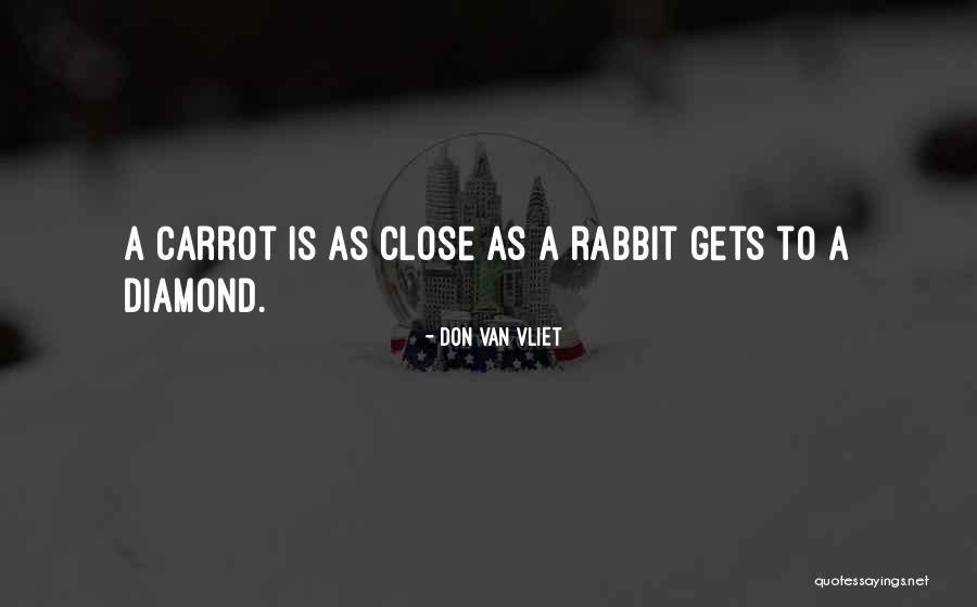 Rabbit And Carrot Quotes By Don Van Vliet Rabbit And Carrot Quotes By Don Van Vliet