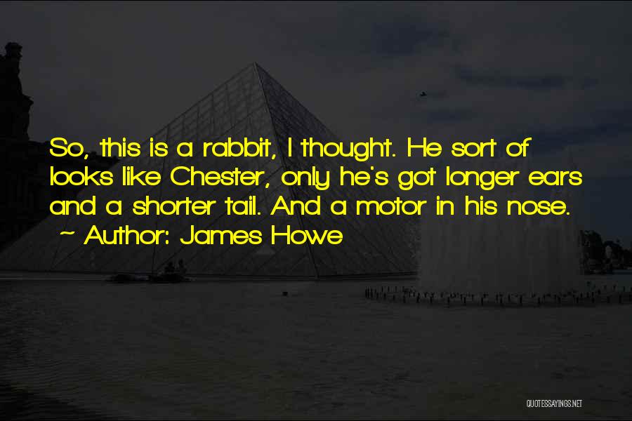 Rabbit Ears Quotes By James Howe