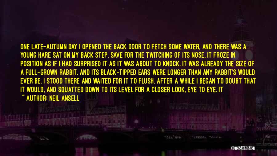 Rabbit Ears Quotes By Neil Ansell