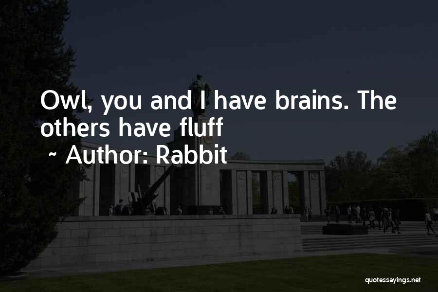 Rabbit Quotes 957717