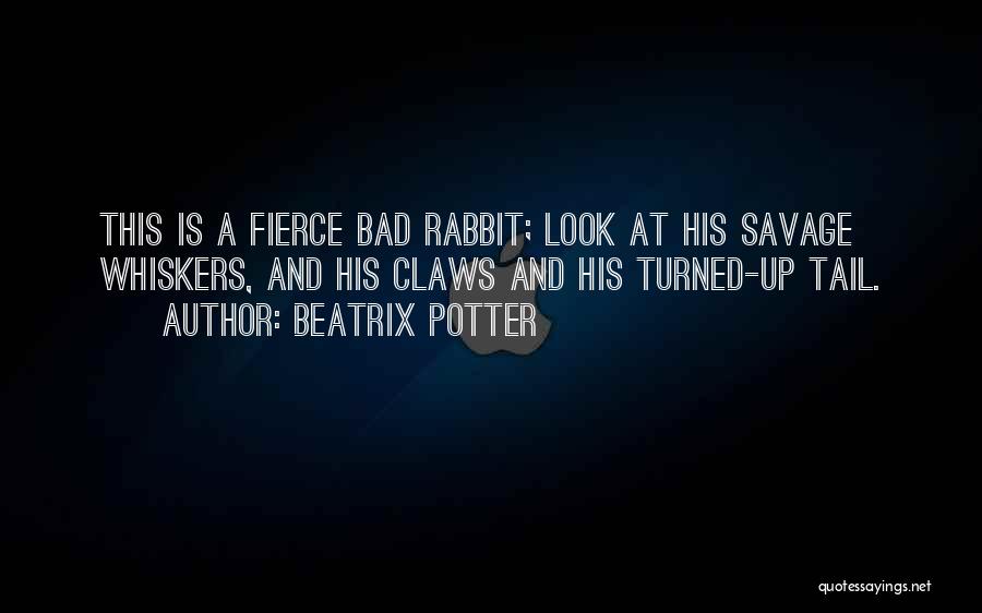 Rabbits Bunnies Quotes By Beatrix Potter