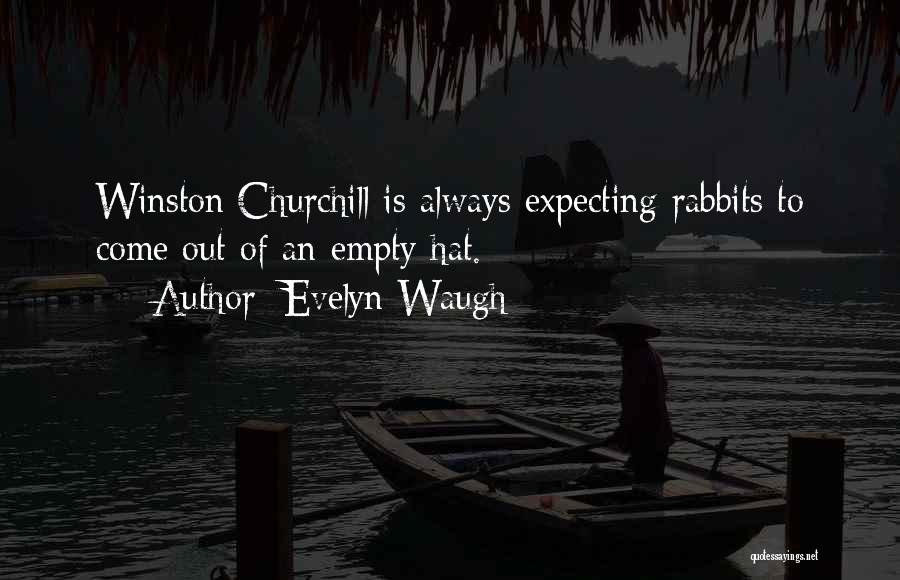 Rabbits Bunnies Quotes By Evelyn Waugh