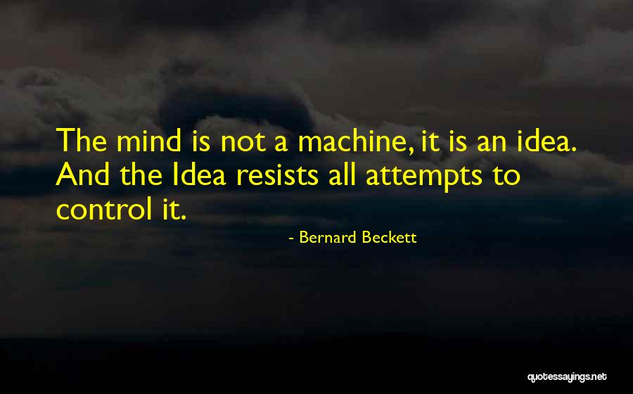 Rabbit's Favorite Vegetarian Quotes By Bernard Beckett Rabbit's Favorite Vegetarian Quotes By Bernard Beckett