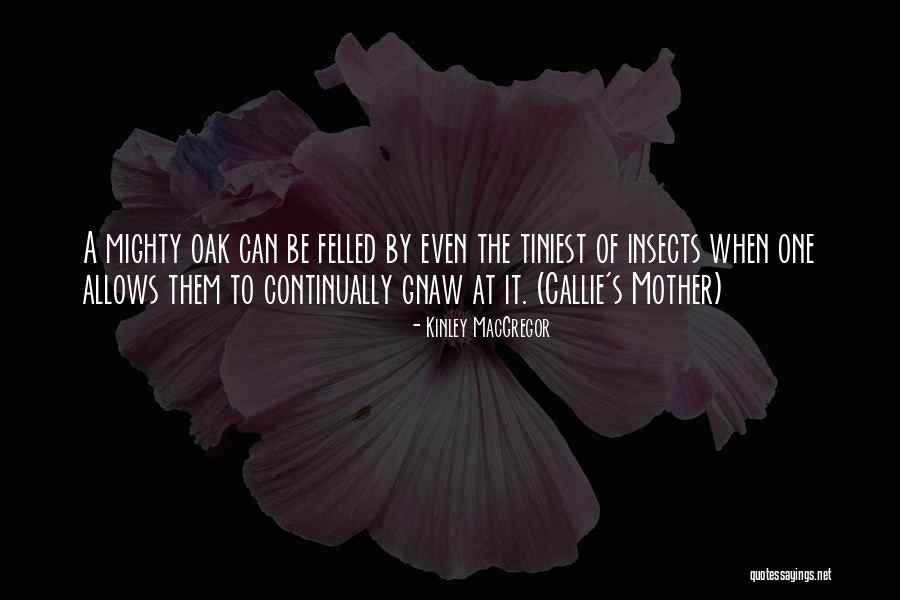 Rabi Ul Awal Chand Mubarak Quotes By Kinley MacGregor Rabi Ul Awal Chand Mubarak Quotes By Kinley MacGregor