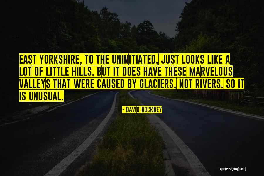 Rabiaa Zayat Quotes By David Hockney Rabiaa Zayat Quotes By David Hockney