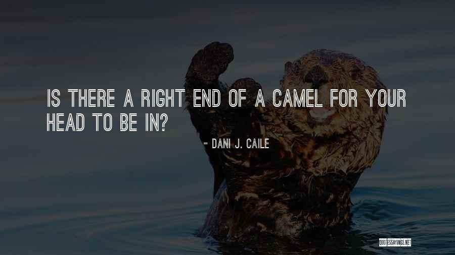 Rabig Alni Quotes By Dani J. Caile