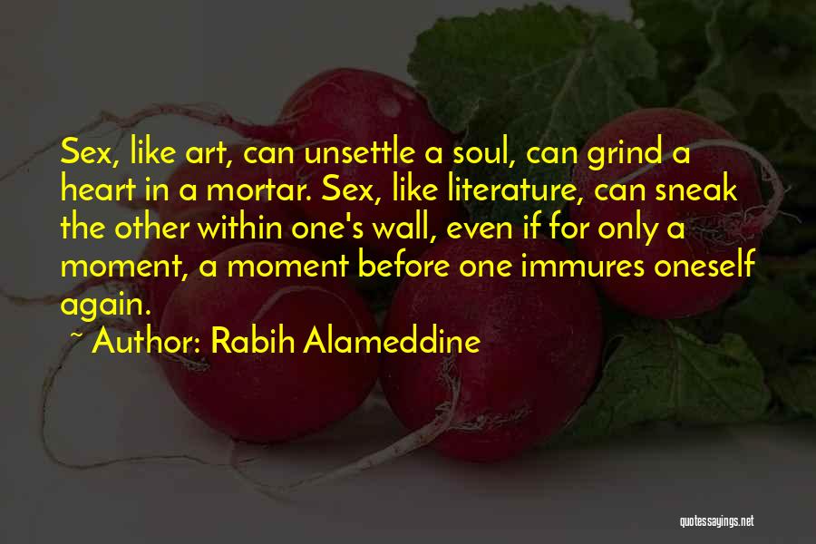 Rabih Alameddine Quotes 1233379