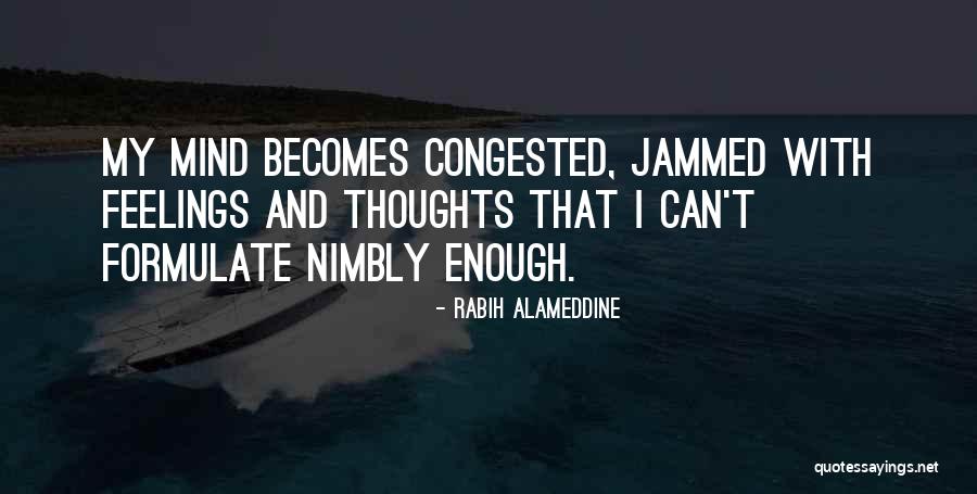 Rabih Alameddine Quotes 1329372