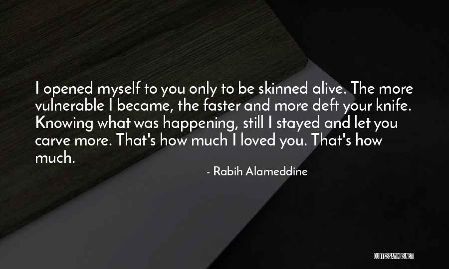 Rabih Alameddine Quotes 1773016