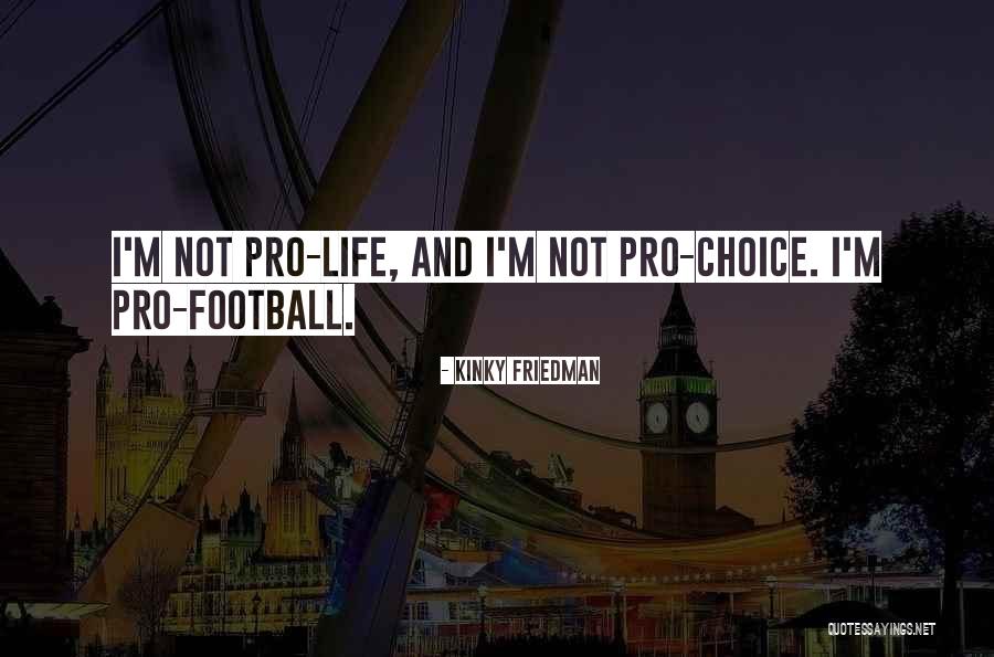 Rabinovicionline Quotes By Kinky Friedman Rabinovicionline Quotes By Kinky Friedman
