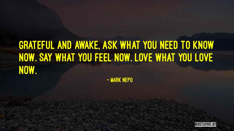 Rabobank America Quotes By Mark Nepo Rabobank America Quotes By Mark Nepo