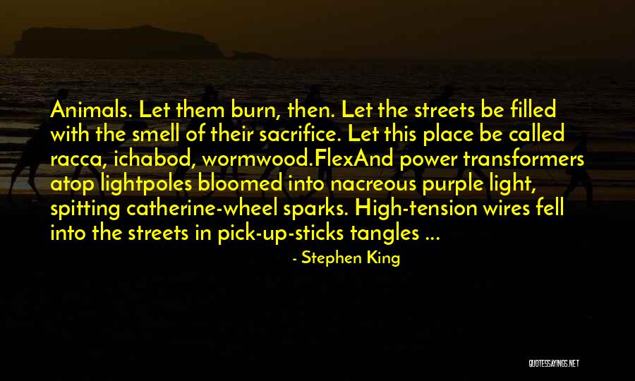 Racca Quotes By Stephen King Racca Quotes By Stephen King
