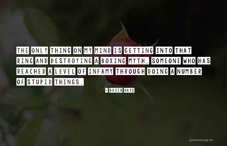 Racconti Romani Quotes By David Haye